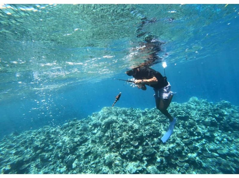 【石垣島・貸し切り】泳ぎながら釣り体験”見釣り”（シュノーケルフィッシング）完全貸し切り船｜5歳から参加OKの紹介画像