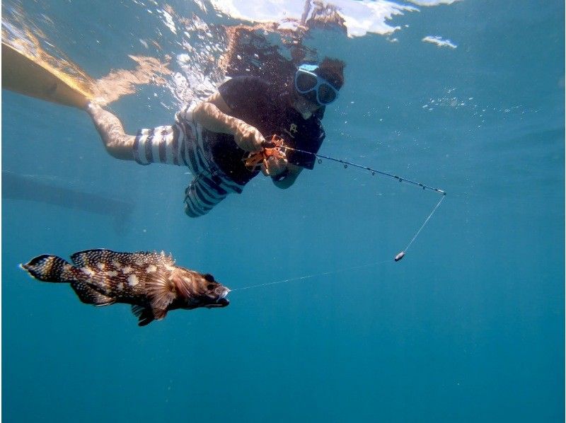 [Okinawa Ishigaki Island] Fishing while swimming called Mitsuri by chartered boat from age 5!