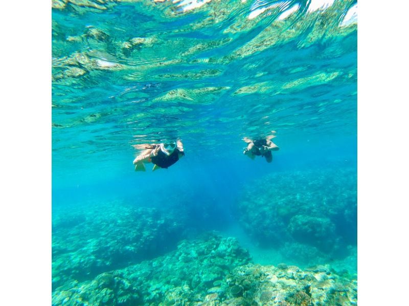 [Okinawa Ishigaki Island] Fishing while swimming called Mitsuri by chartered boat from age 5!