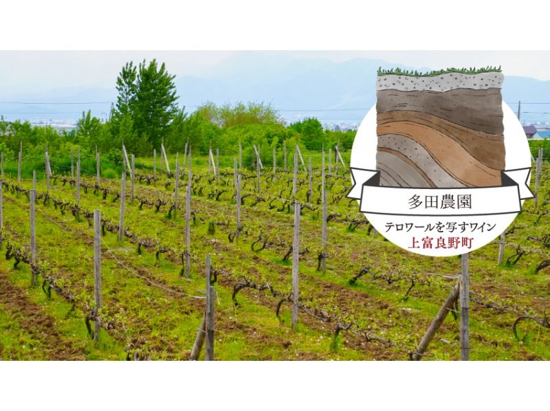 [Hokkaido, Furano] Guided taxi tour (shared ride) of 3 wineries in the Furano area