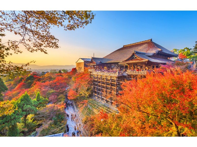 【一日遊|市內飯店接送】古色古香的京都日式之旅金閣寺-清水寺-伏見稻荷大社の紹介画像