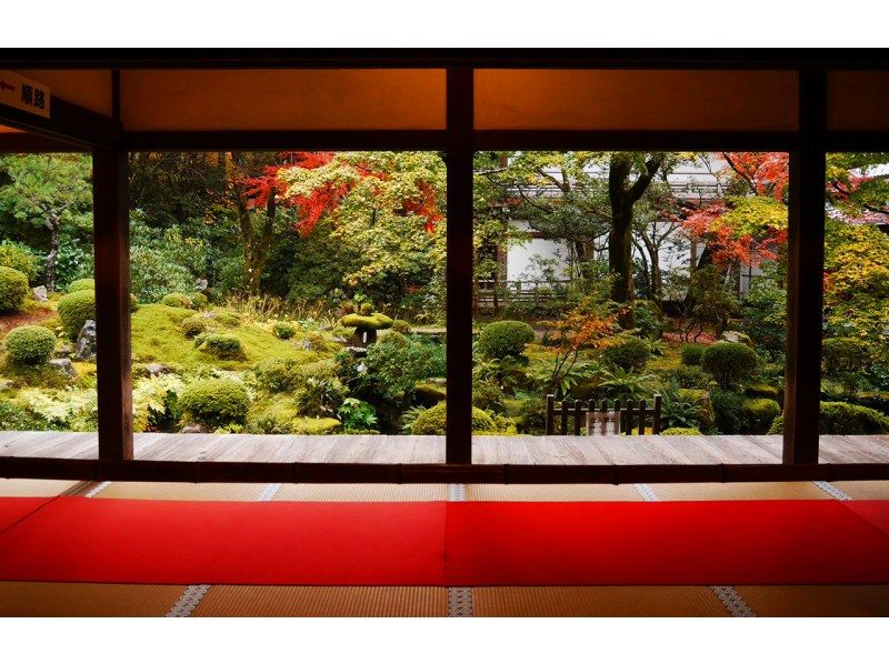 SALE! [Day trip/Pick-up from city hotels] Kyoto, Arashiyama trolley train, Sanzen-in Templeの紹介画像