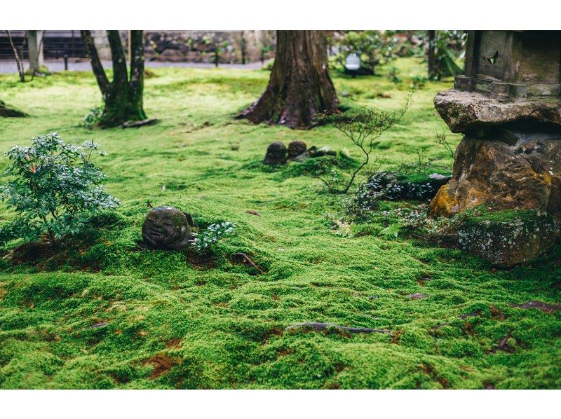 [Day trip/Pick-up from city hotels] Kyoto, Arashiyama trolley train, Sanzen-in Temple