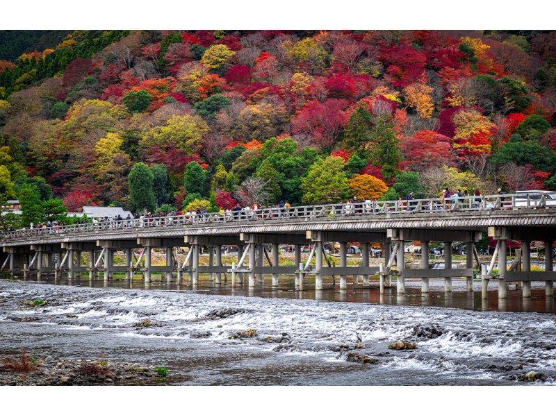 【日帰り/市内ホテルからの送迎です】京都・嵐山トロッコ列車・三千院の紹介画像