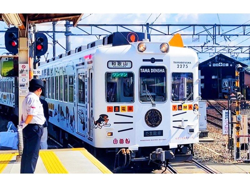 [Day trip/Pick-up from city hotels] Nanki Shirahama Onsen/Popular cat stationmaster -- Kishi Station/Senjojikiの紹介画像