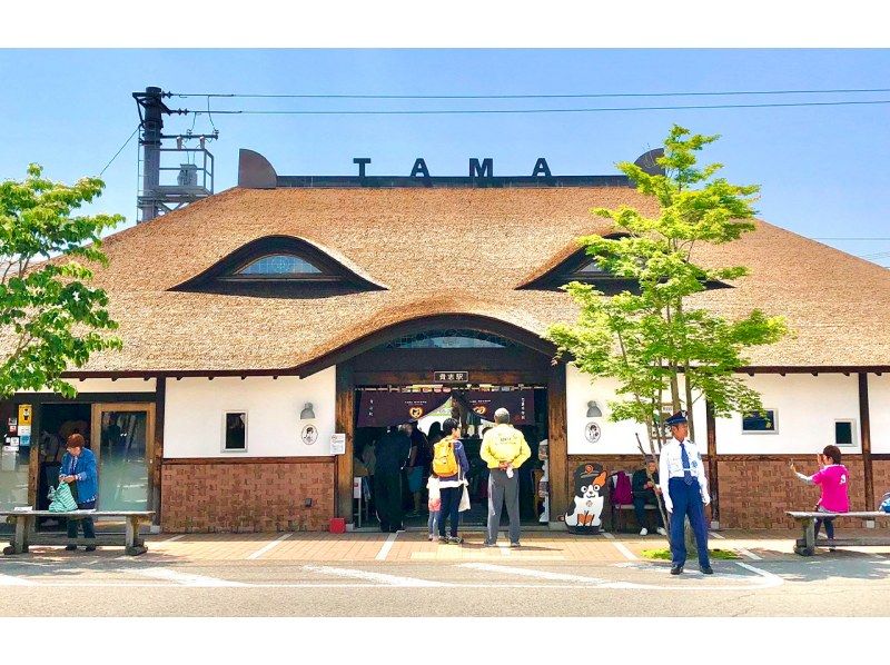 [Day trip/Pick-up from city hotels] Nanki Shirahama Onsen/Popular cat stationmaster -- Kishi Station/Senjojikiの紹介画像