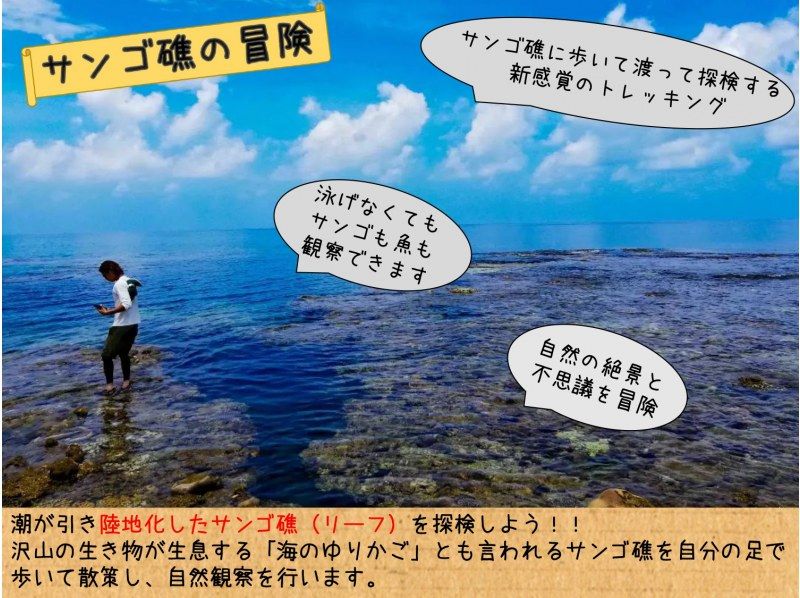 【沖縄・久米島】“幻の道”で行く！！無人島とサンゴ礁のトレッキングツアー［現地集合プラン］の紹介画像