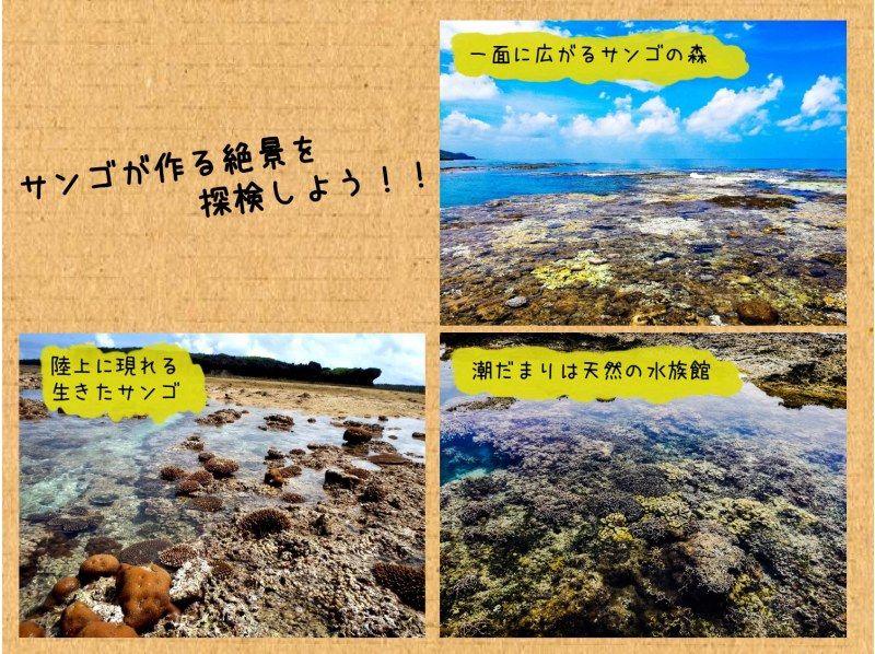 【沖縄・久米島】“幻の道”で行く！！無人島とサンゴ礁のトレッキングツアー［現地集合プラン］の紹介画像