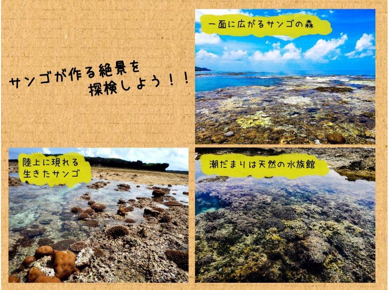 【沖縄・久米島】&ldquo;幻の道&rdquo;で行く！！無人島とサンゴ礁のトレッキングツアー［現地集合プラン］の紹介画像