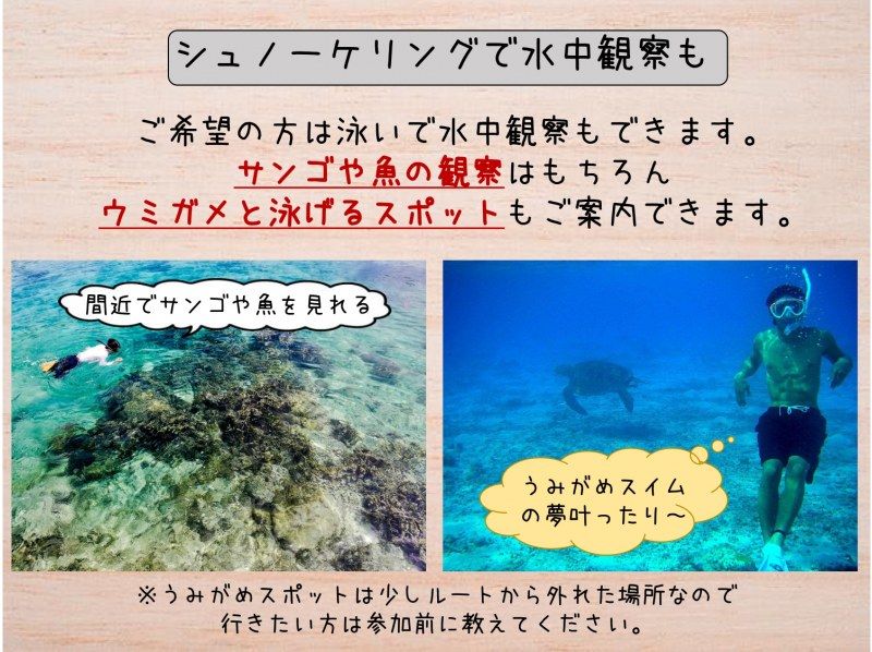 【沖縄・久米島】“幻の道”で行く！！無人島とサンゴ礁のトレッキングツアー［現地集合プラン］の紹介画像