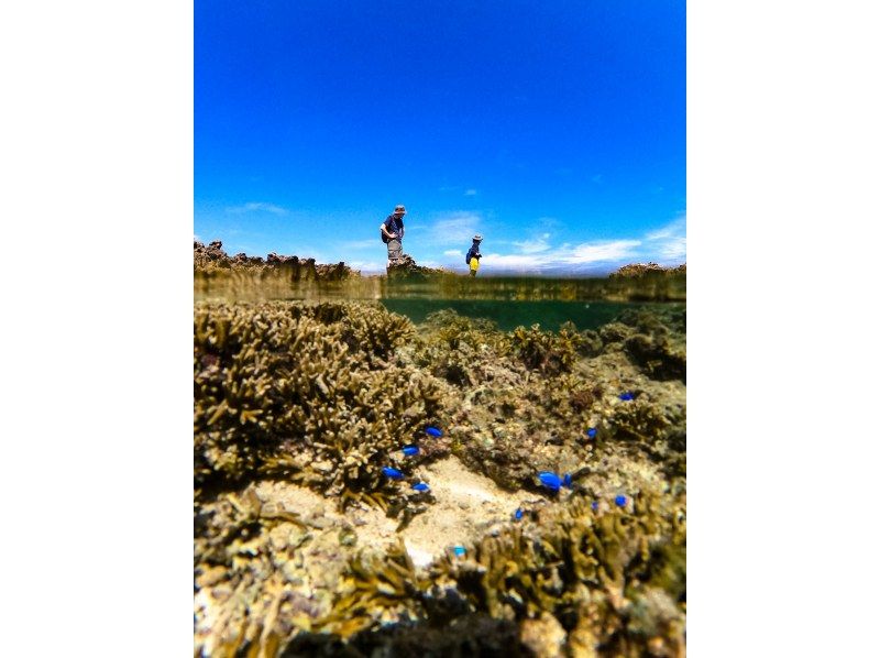 【沖縄・久米島】“幻の道”で行く！！無人島とサンゴ礁のトレッキングツアー［現地集合プラン］の紹介画像