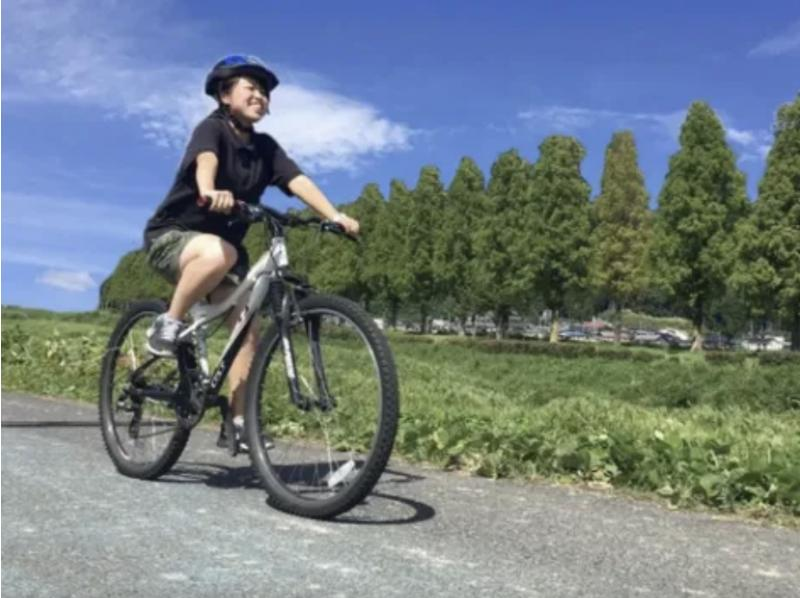 [Shiga / Lake Biwa] Mountain bike tour with a view of the Metasequoia treesの紹介画像