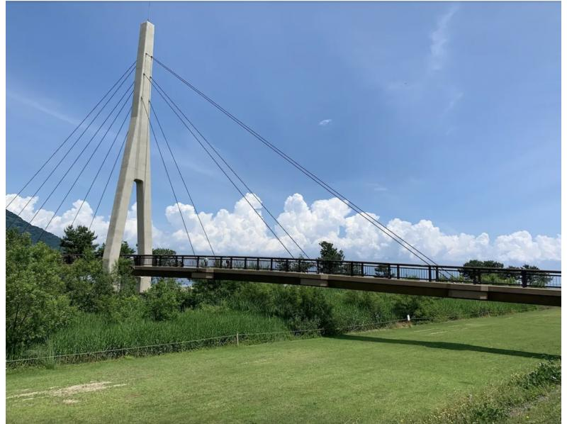 [滋賀/琵琶湖]山地自行車之旅，您還可以欣賞成排的水杉樹の紹介画像