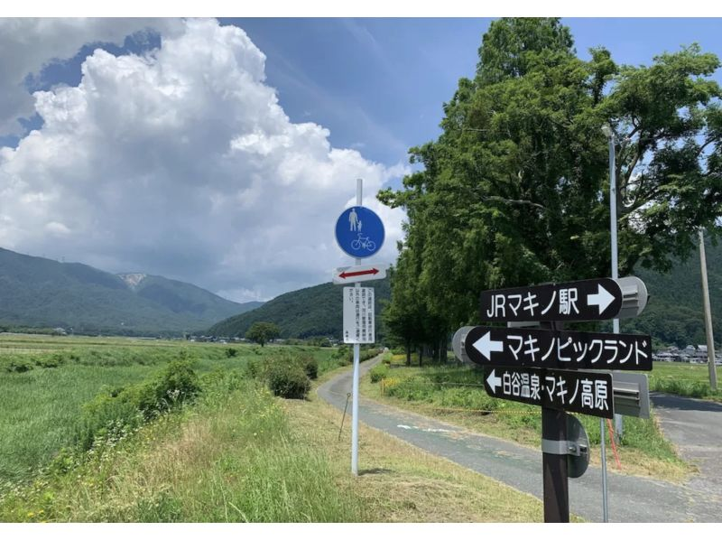 [滋賀/琵琶湖]山地自行車之旅，您還可以欣賞成排的水杉樹の紹介画像