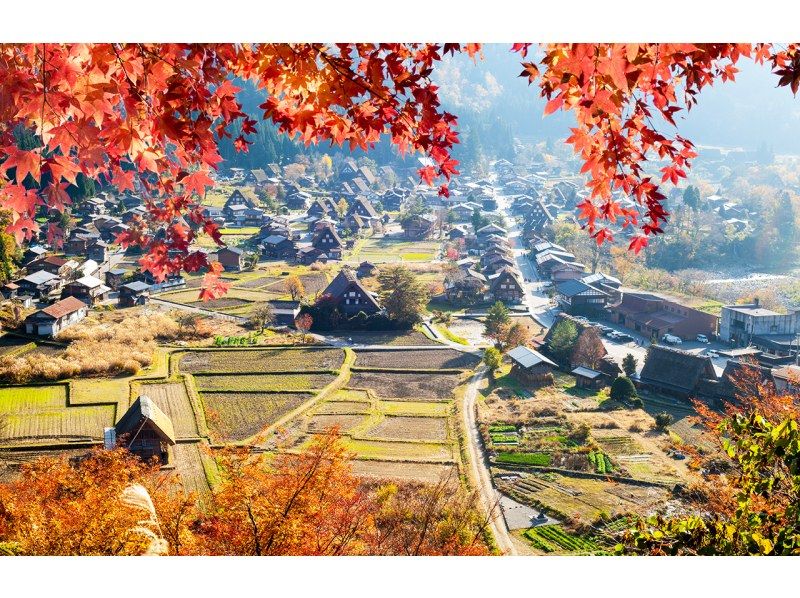 愛しの合掌集落 飛騨白川郷 越中五箇 Amazon.co.jp: 愛しの合掌集落: 飛騨白川郷・越中五箇山 : 柴田