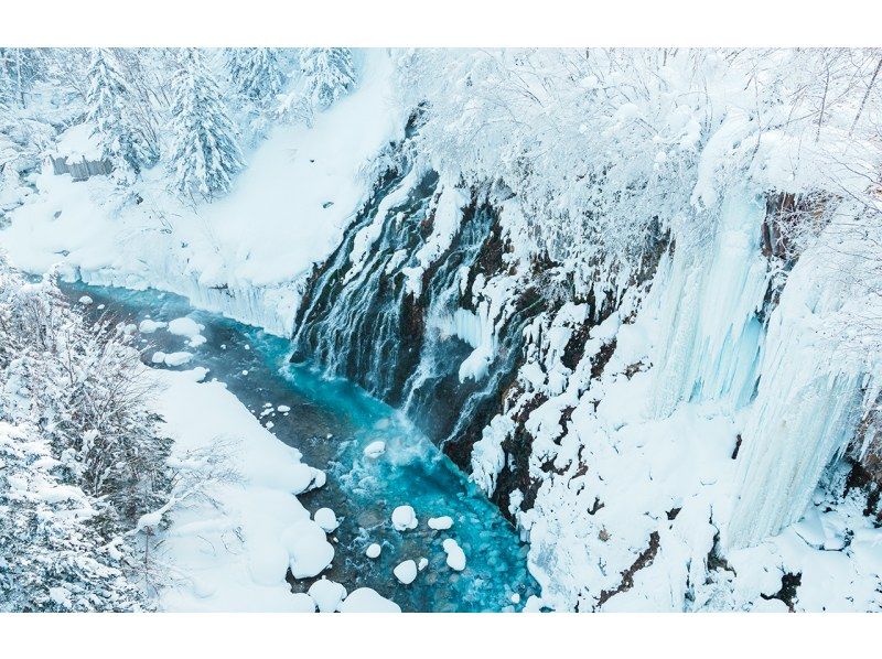 销售！ 【一日游】北海道A路线：旭山动物园、青池、宁古鲁露台の紹介画像