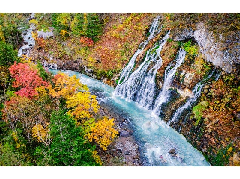 【一日游】北海道A路线：旭山动物园、青池、宁古鲁露台の紹介画像