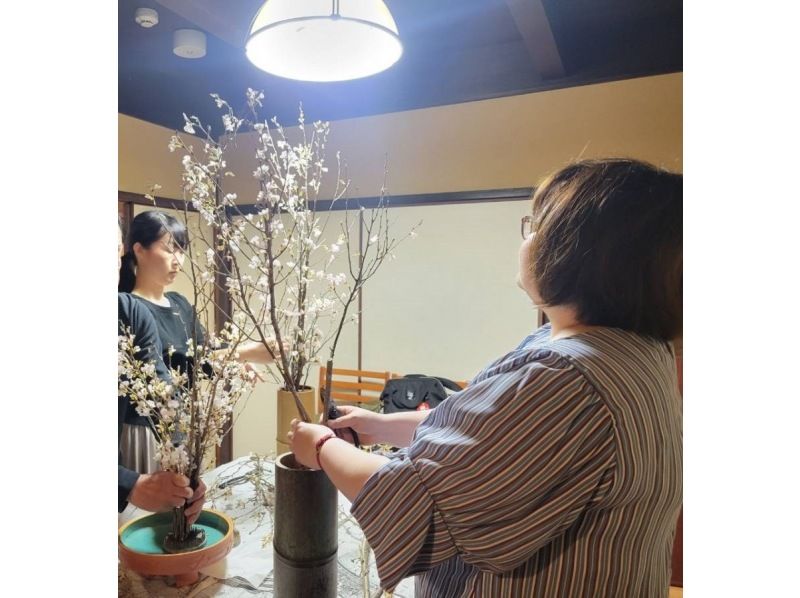 [Kyoto/Omiya] Experience Hana Kaiseki (Ikebana and Kaiseki cuisine) at a townhouse in Nishijin, Mibu, Kyotoの紹介画像