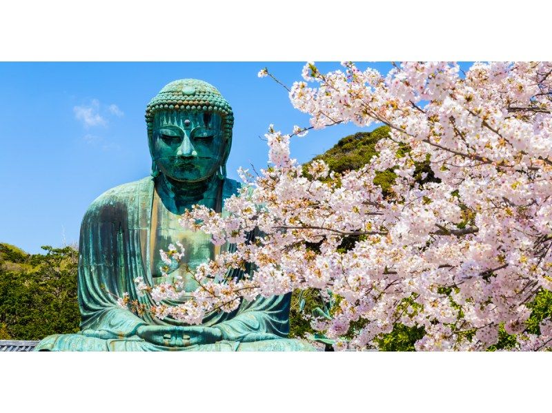 [13-person team, pick-up from city hotels] Departing from Tokyo! Kamakura Buddha, Tsurugaoka Hachimangu Shrine, Enoshima Day Tourの紹介画像