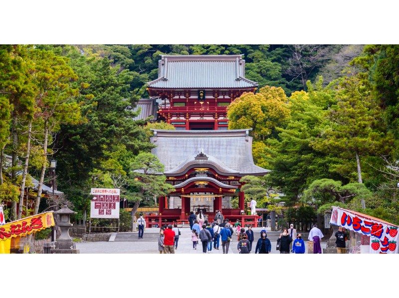 [13-person team, pick-up from city hotels] Departing from Tokyo! Kamakura Buddha, Tsurugaoka Hachimangu Shrine, Enoshima Day Tourの紹介画像