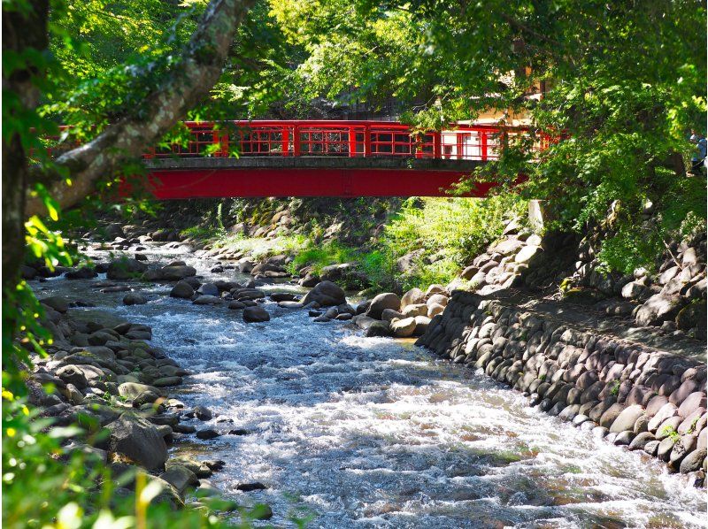 [Mt. Fuji, Atami, Kamakura] 2-Day 1-Night Tour of Mt. Fuji, Kamakura, Atami, and Fireworks Cruise | Departing from Tokyoの紹介画像