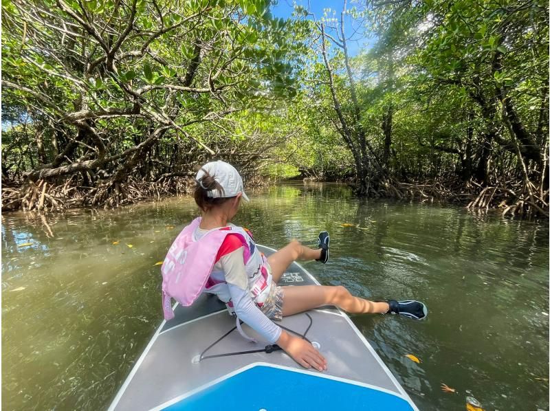 【石垣島マングローブSUP】吹通川のトンネルを探検｜木漏れ日・自然の音・生き物との出会い｜写真動画無料の紹介画像