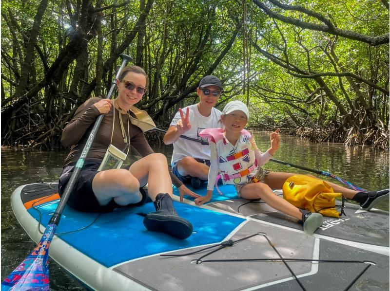 【石垣島マングローブSUP】吹通川のトンネルを探検｜木漏れ日・自然の音・生き物との出会い｜写真動画無料の紹介画像
