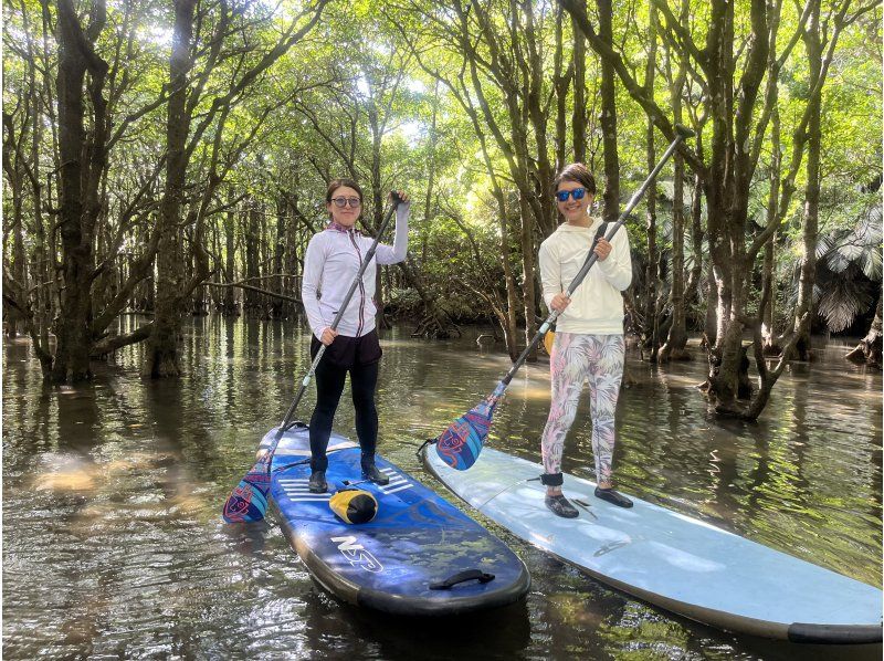 【石垣島マングローブSUP】吹通川のトンネルを探検｜木漏れ日・自然の音・生き物との出会い｜写真動画無料の紹介画像