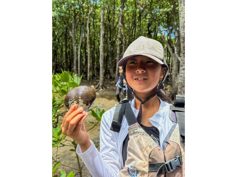 【石垣島マングローブSUP】吹通川のトンネルを探検｜木漏れ日・自然の音・生き物との出会い｜写真動画無料の紹介画像