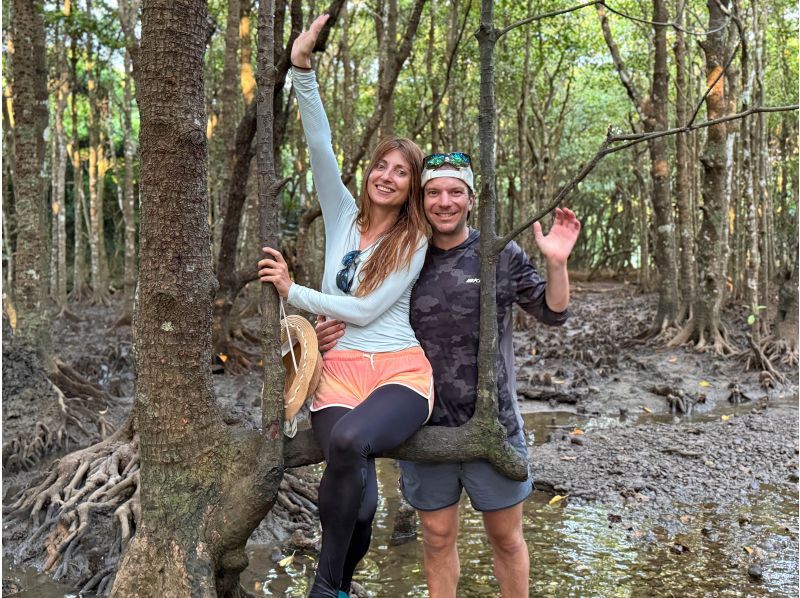 【石垣島マングローブSUP】吹通川のトンネルを探検｜木漏れ日・自然の音・生き物との出会い｜写真動画無料の紹介画像