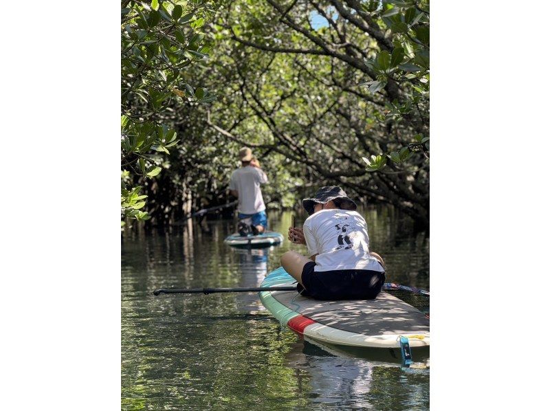 【石垣島マングローブSUP】吹通川のトンネルを探検｜木漏れ日・自然の音・生き物との出会い｜写真動画無料の紹介画像