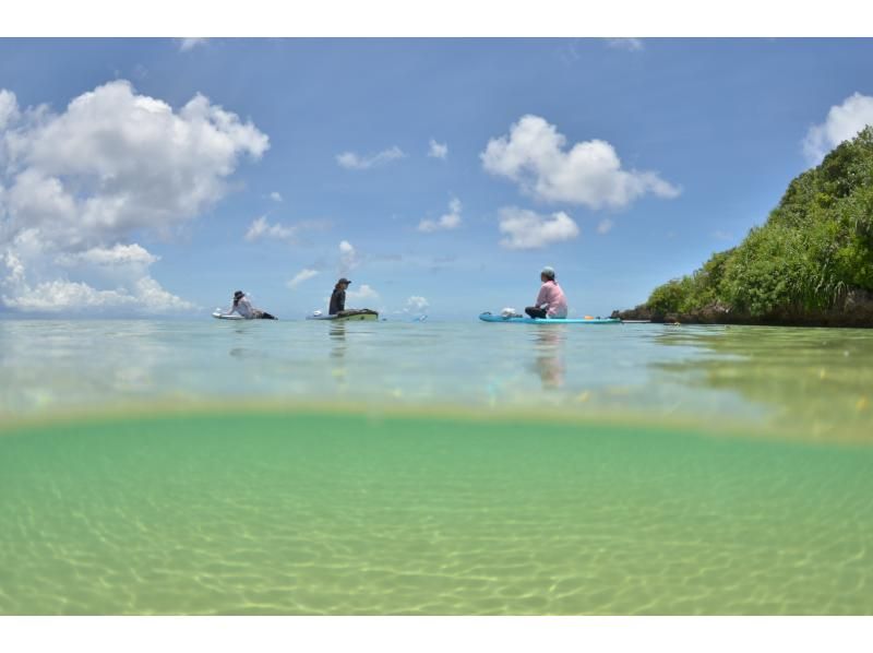 【石垣島マングローブSUP】吹通川のトンネルを探検｜木漏れ日・自然の音・生き物との出会い｜写真動画無料の紹介画像
