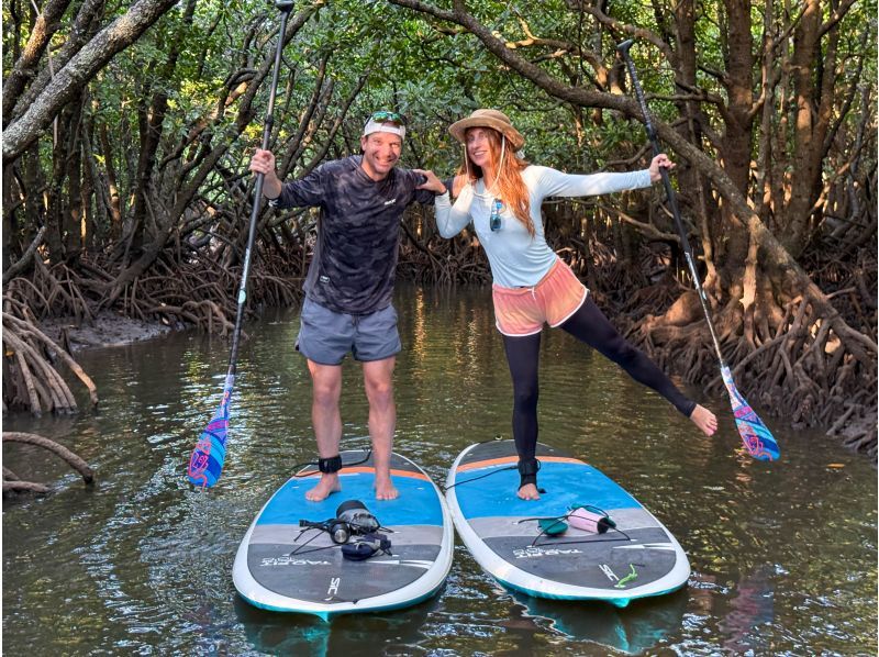 【石垣島マングローブSUP】吹通川のトンネルを探検｜木漏れ日・自然の音・生き物との出会い｜写真動画無料の紹介画像