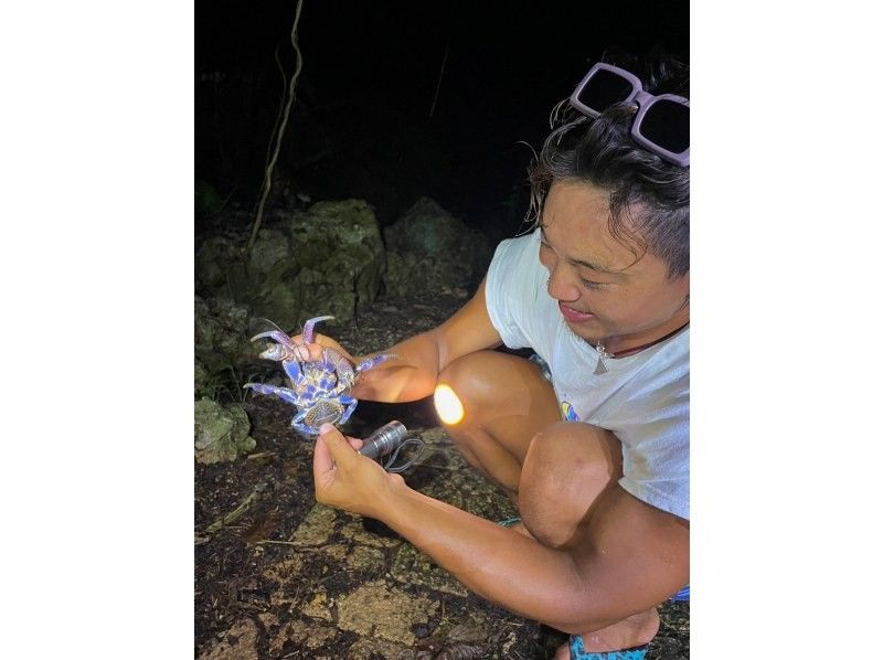 [Okinawa Miyakojima] High chance encounter coconut crabs! Jungle & Starry Night Tour with photo gift