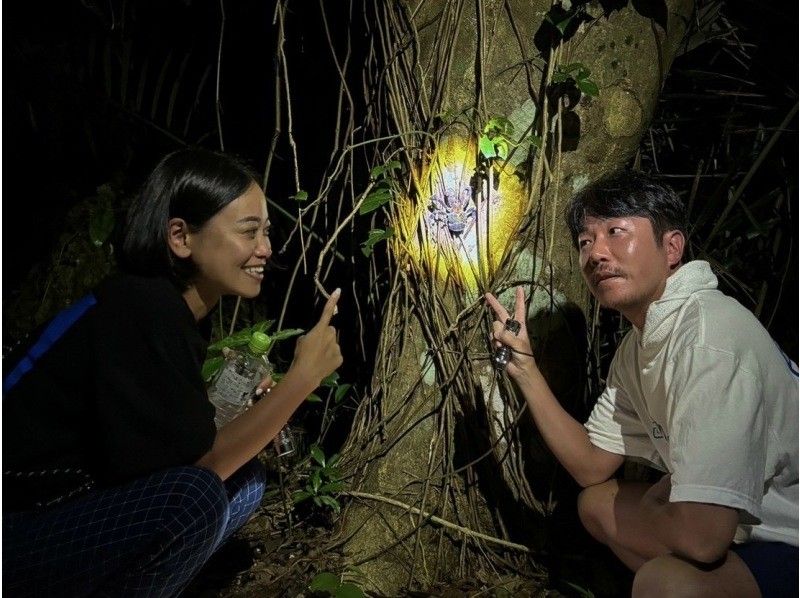 Miyakojima "High chance of encountering coconut crabs" Jungle & Starry Night Tour ★ Available on the day! All photos are given free of charge!の紹介画像