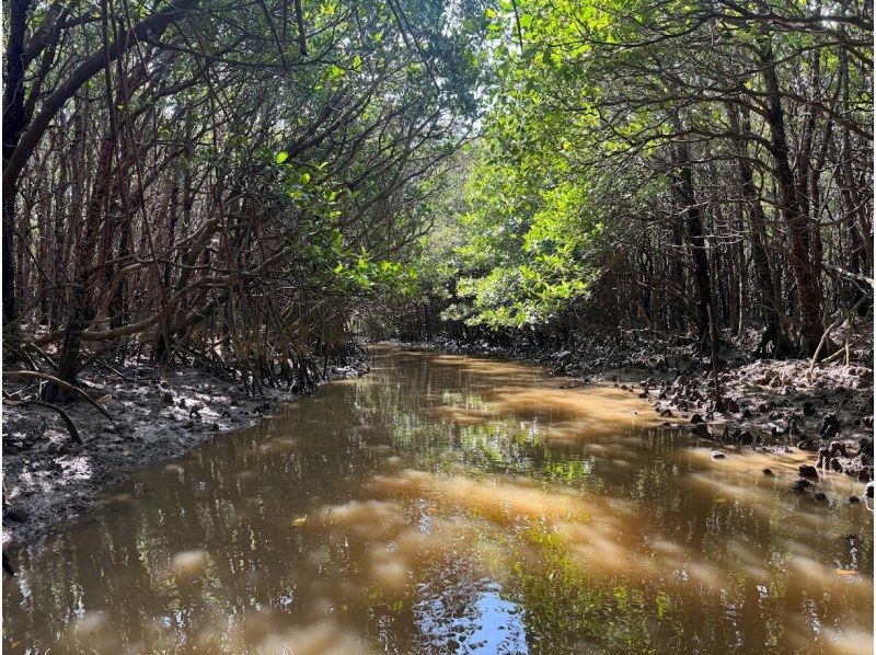 【沖縄・やんばる】三代目漁師が案内！川マングローブ カヌー半日コース （2時間）　更衣室（エアコン完備）ツアー中の写真をデータでプレゼントの紹介画像