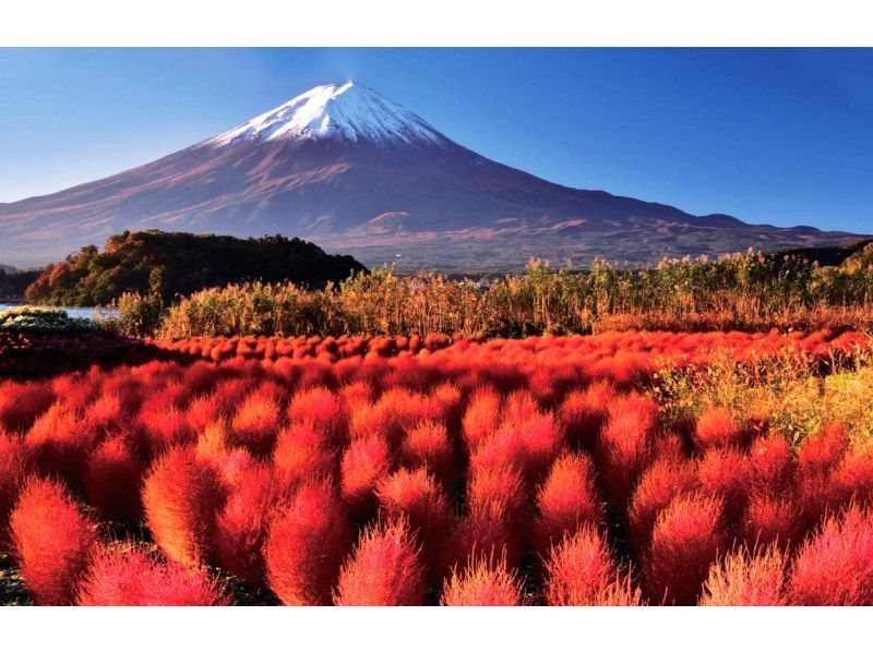 【13人のチームです/市内ホテルからの送迎です】富士山Bコース：富士山・河口湖・山中湖・温泉の紹介画像