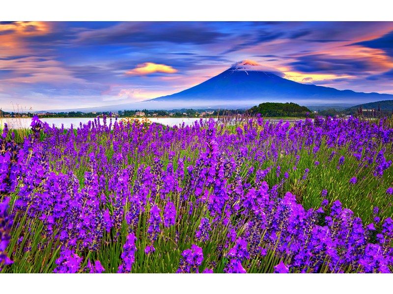 【13人のチームです/市内ホテルからの送迎です】富士山Bコース：富士山・河口湖・山中湖・温泉の紹介画像