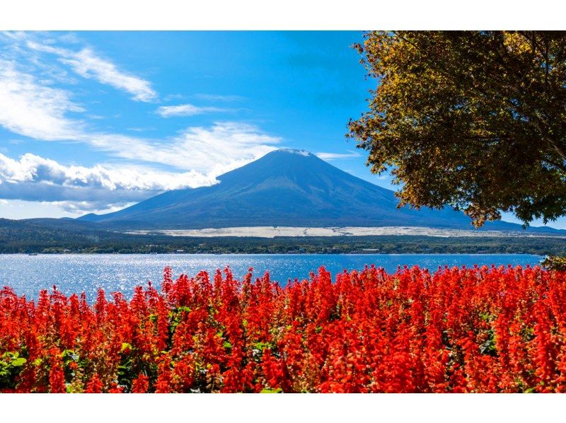 【13人のチームです/市内ホテルからの送迎です】富士山Bコース：富士山・河口湖・山中湖・温泉の紹介画像