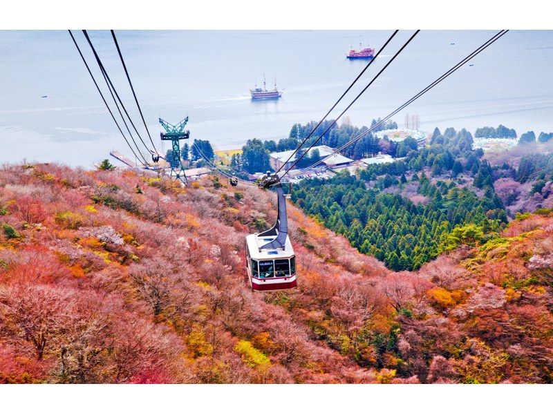 【日帰り】富士山Dコース：大涌谷・箱根の紹介画像