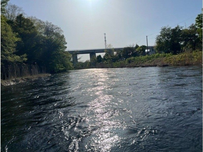 【北海道千歲川】【加拿大獨木舟標準套餐】在茂密的森林中乘坐獨木舟沿著高度透明的千歲川漂流☆★☆の紹介画像