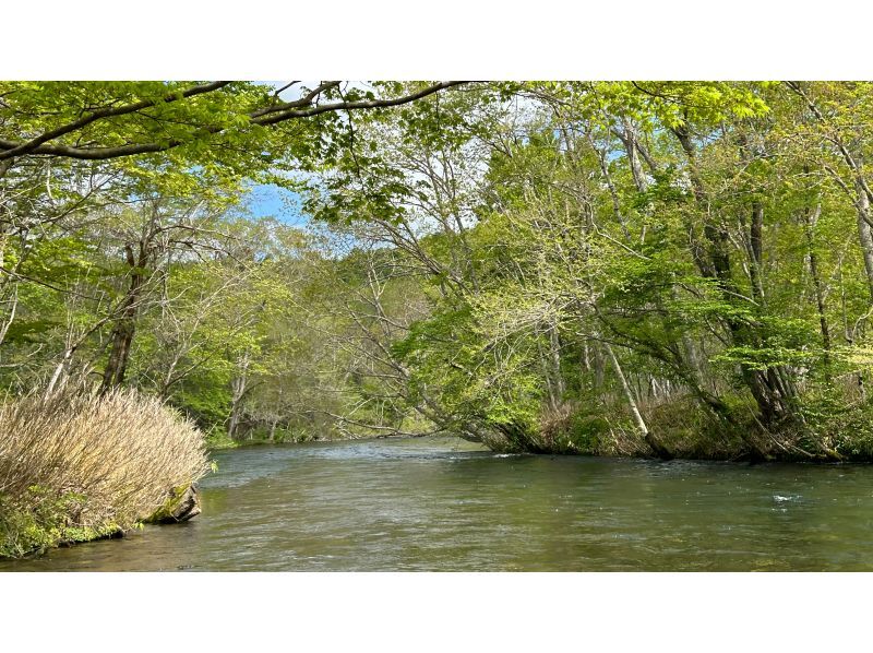 [Hokkaido, Chitose River] [Canadian Canoe Standard Course] Canoe down the crystal clear Chitose River through the lush forest ☆★☆の紹介画像