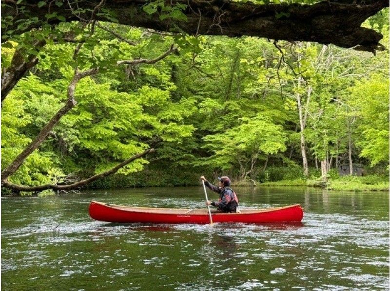 [Hokkaido, Chitose River] [Canadian Canoe Standard Course] Canoe down the crystal clear Chitose River through the lush forest ☆★☆の紹介画像