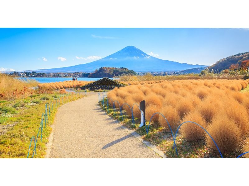 [13-person team; pick-up from city hotels] Day trip to Lake Kawaguchi from Tokyo (Mt. Fuji area, Arakurayama Sengen Park, Oishi Park, LAWSON)の紹介画像