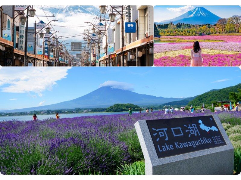 [13-person team; pick-up from city hotels] Day trip to Lake Kawaguchi from Tokyo (Mt. Fuji area, Arakurayama Sengen Park, Oishi Park, LAWSON)の紹介画像