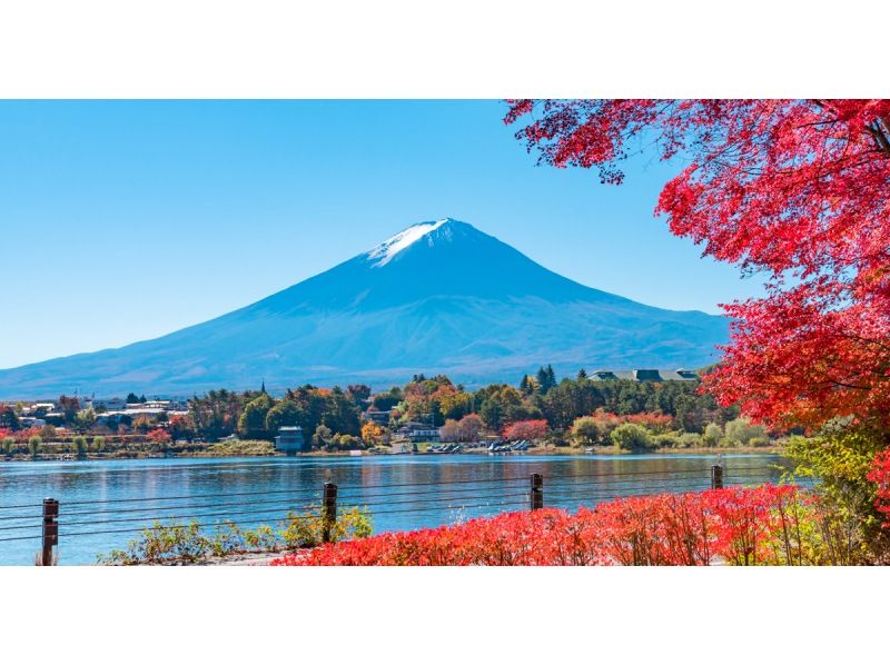 [13-person team/Pick-up from city hotels/Lake Yamanaka] Tokyo departure! Matcha experience day trip tour (Mt. Fuji, Kawaguchiko Panorama Ropeway, Oshino Hakkai)の紹介画像