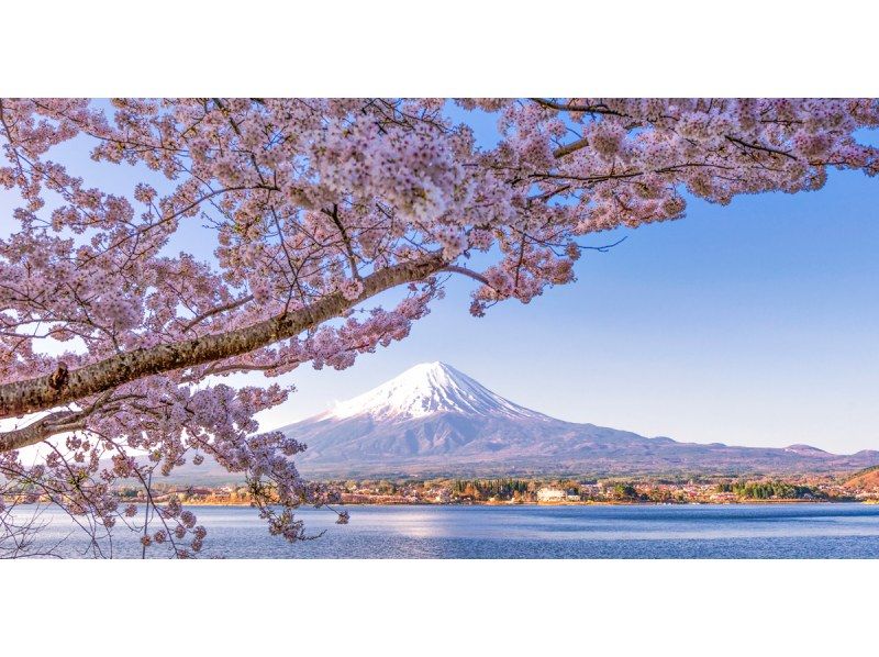 【13人のチームです/市内ホテルからの送迎です・山中湖】東京発！抹茶体験日帰りツアー（富士山、河口湖パノラマロープウェイ、忍野八海）の紹介画像