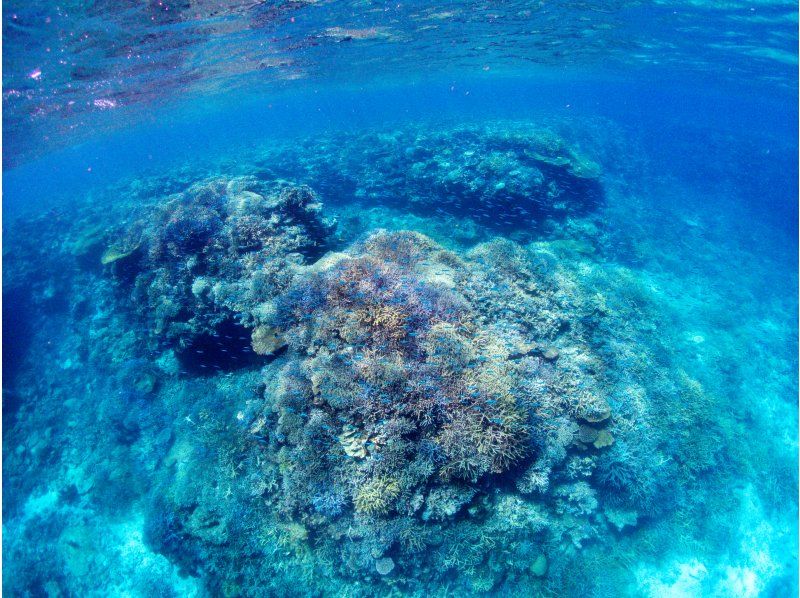 【沖縄・宮古島】八重干瀬シュノーケリングツアーの紹介画像