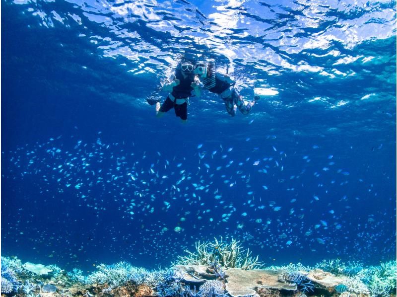 [Okinawa, Miyakojima] Yaeboshi Sessorkeling Tourの紹介画像