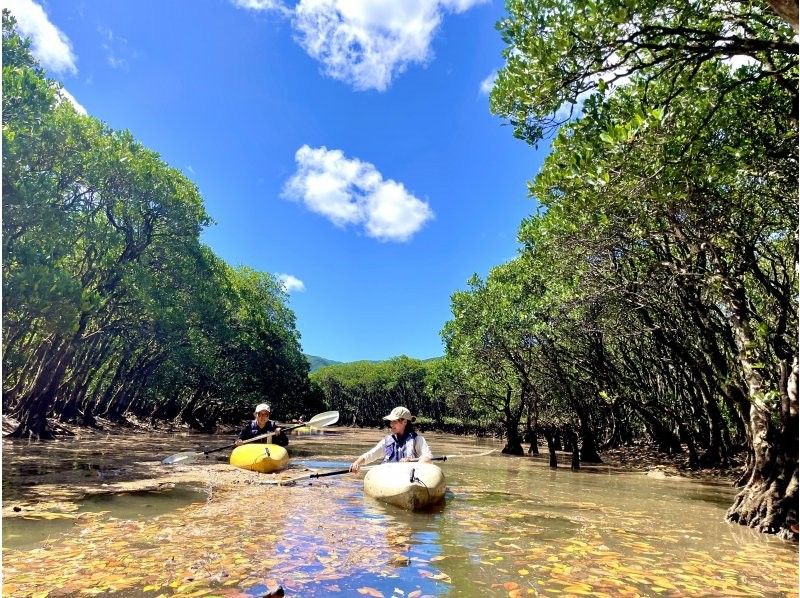 【奄美大島】カップル旅・グループ旅の方にオススメ！３名様までは無料送迎付き！(６０分〜)１組限定貸切マングローブカヌーツアー！の紹介画像